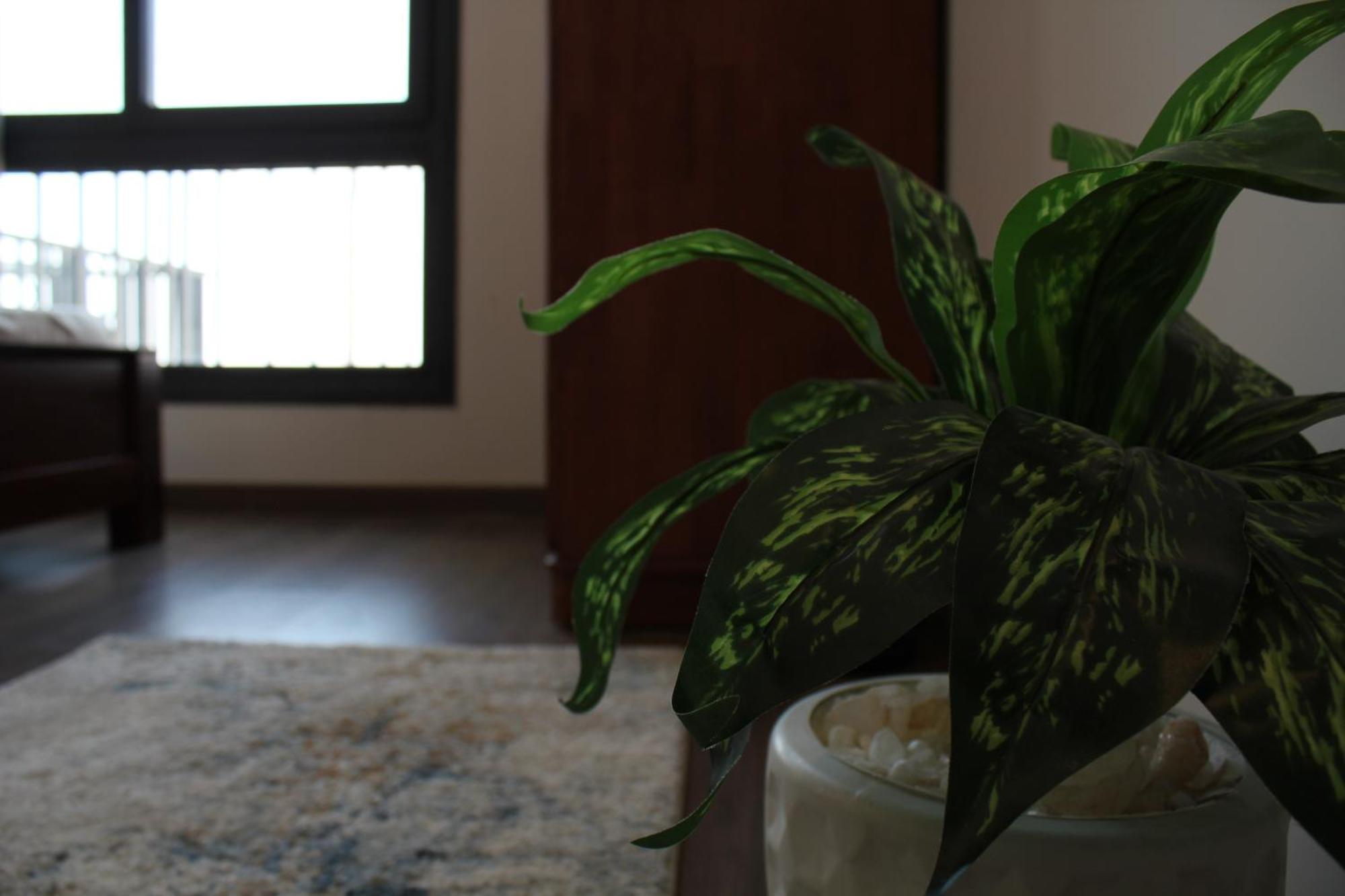 Hawker Stays! Elegant 2 Bedroom In Festival Apartment